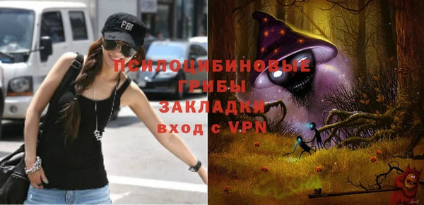 хмурый Белокуриха