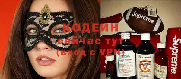 хмурый Белокуриха