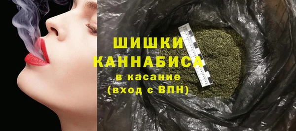 хмурый Белокуриха