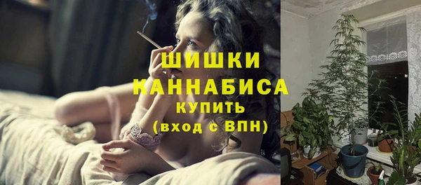 хмурый Белокуриха