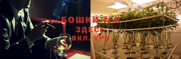 хмурый Белокуриха